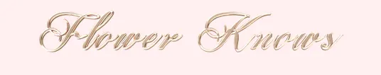 Flower Knows Coupons - 55% Off